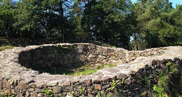 Ganzheitliches Business Coaching