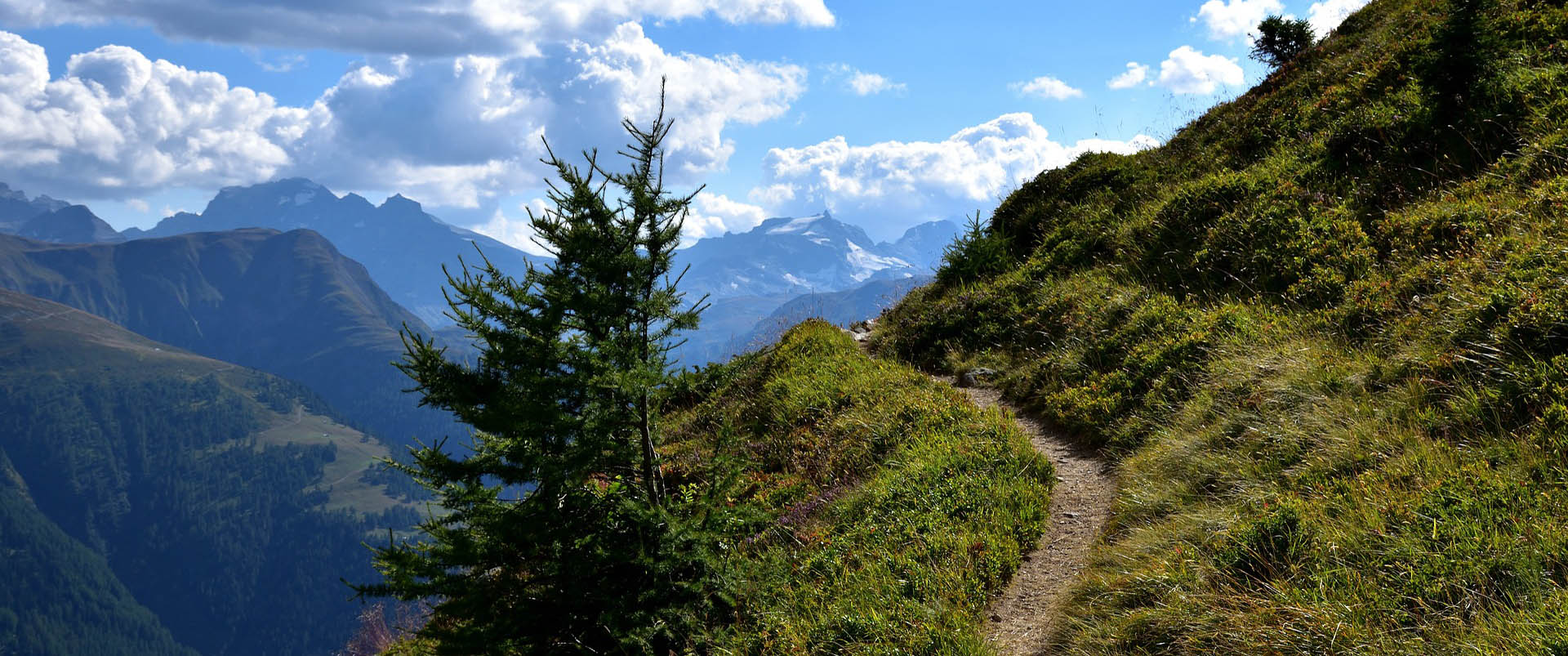 Gehen Sie Ihren eigenen Weg.