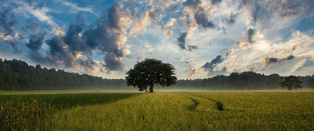 Finden Sie Ruhe und Gelassenheit.